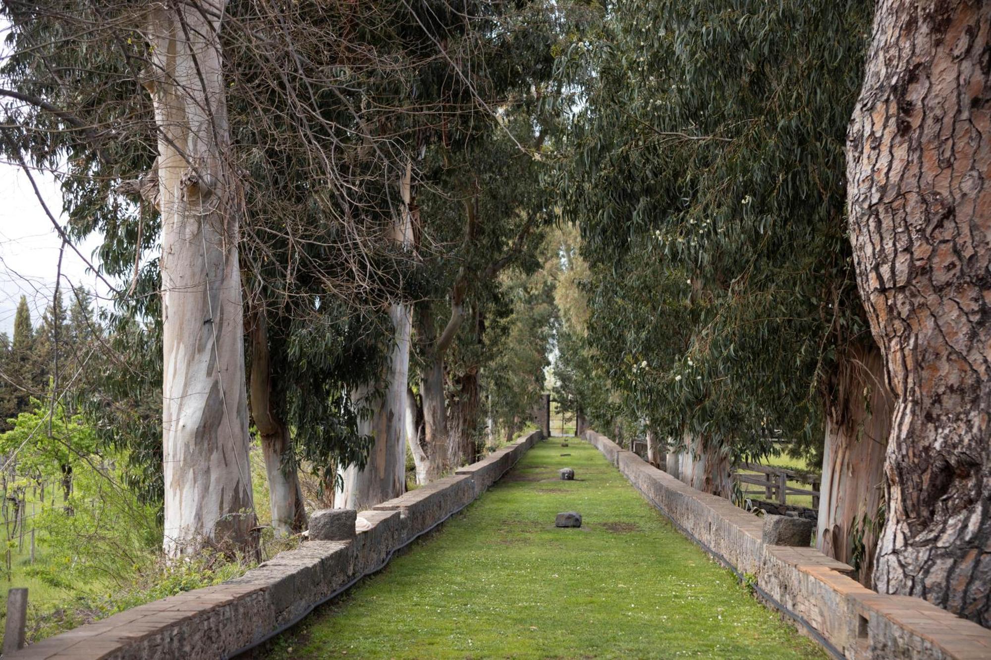 Parco Statella Villa Montelaguardia Exterior foto