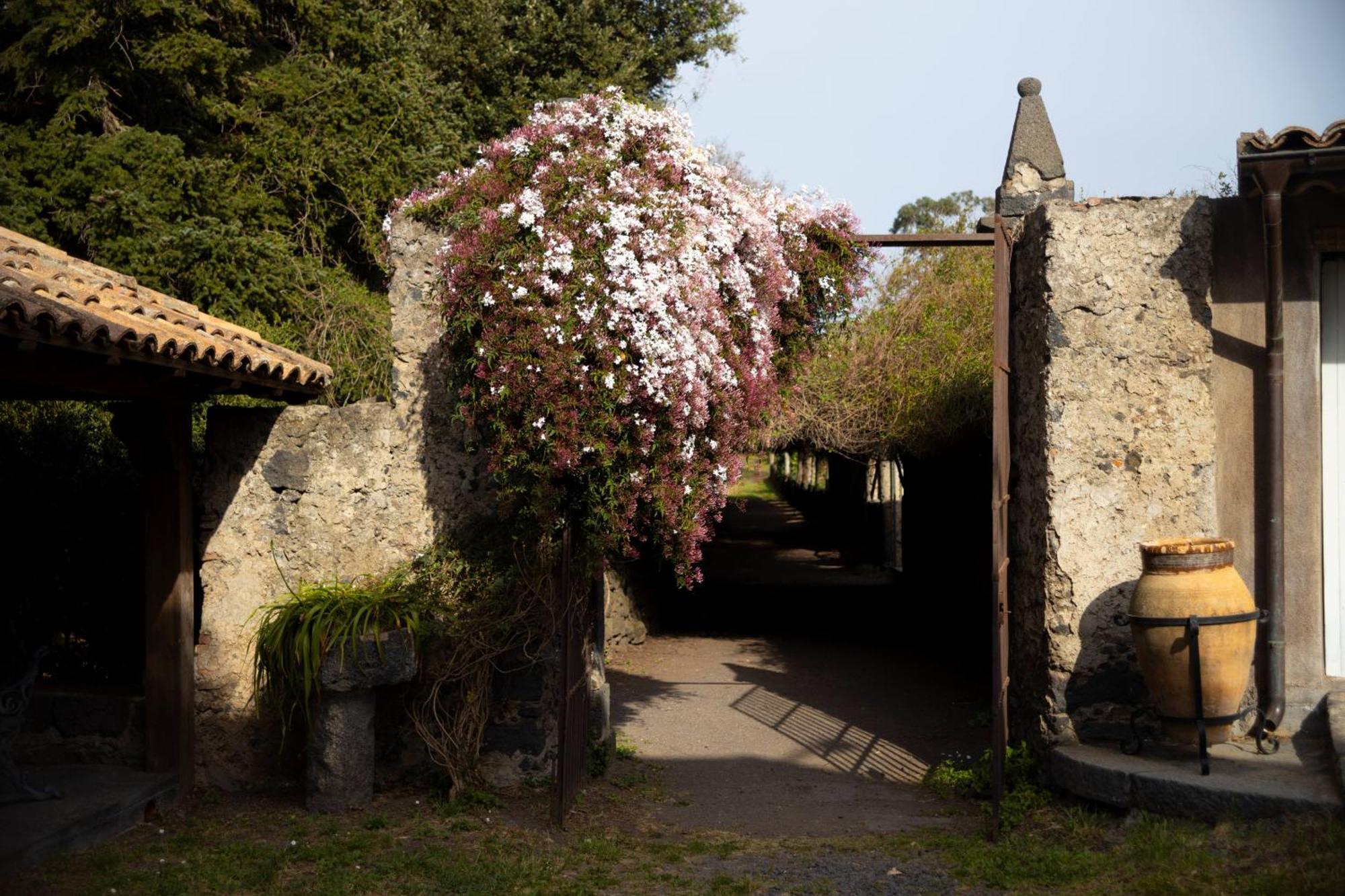 Parco Statella Villa Montelaguardia Exterior foto